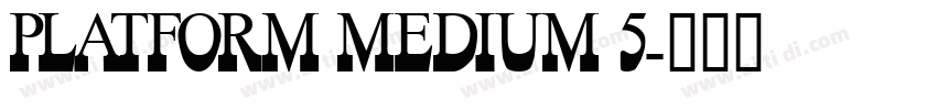 Platform Medium 5字体转换